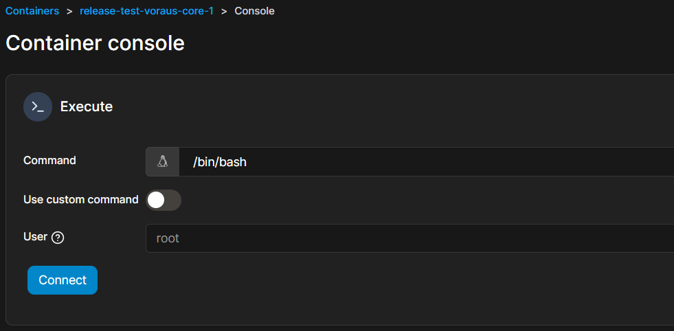 Click the connect button to open the console